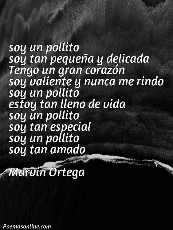 5 Mejores Poemas de Pollito