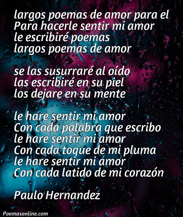 Cinco Poemas Largos para Enamorar a un Hombre