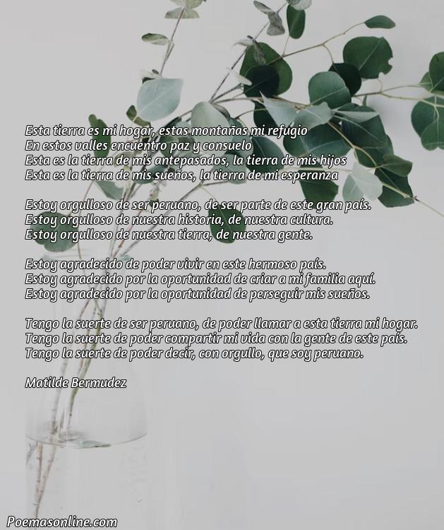 5 Poemas para la Patria